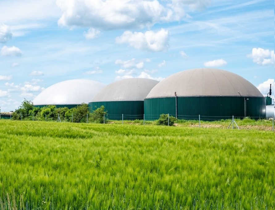 CALPECH. Spin Off de la UA. Nanopartículas para descontaminación ambiental